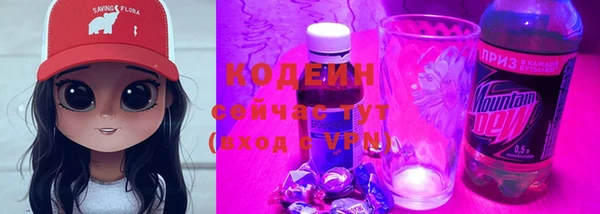 индика Каменск-Шахтинский