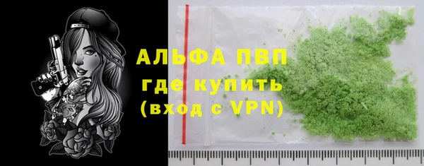 индика Каменск-Шахтинский