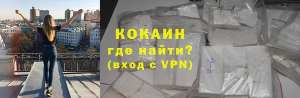 индика Каменск-Шахтинский