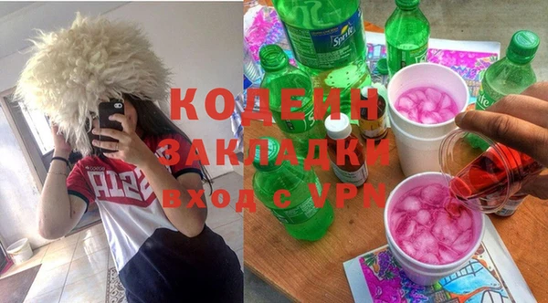 индика Каменск-Шахтинский