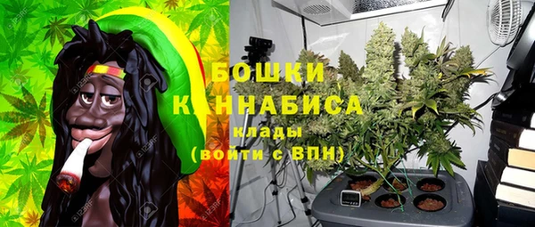 индика Каменск-Шахтинский