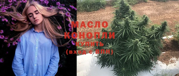 индика Каменск-Шахтинский