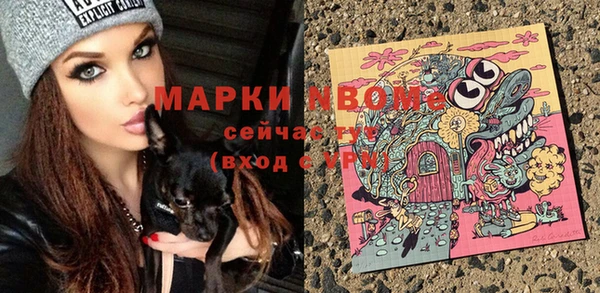 твердый Каменногорск