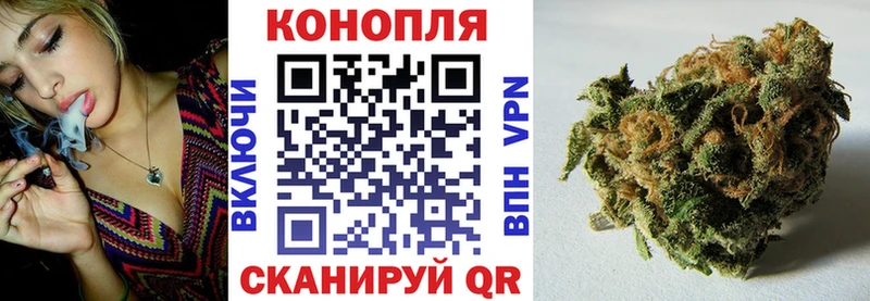 МАРИХУАНА Ganja Северская